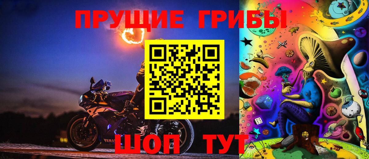ГАШ Ржев
